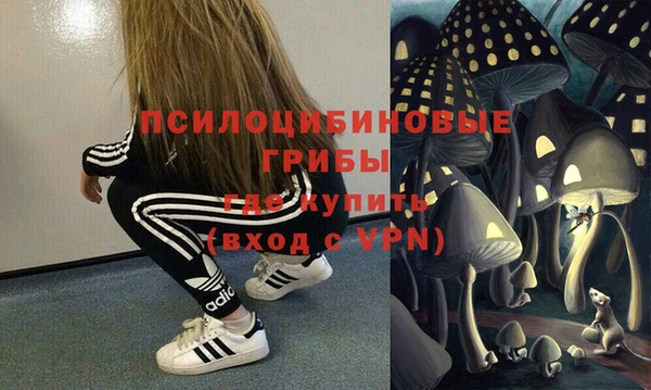 МДПВ Сосновый Бор