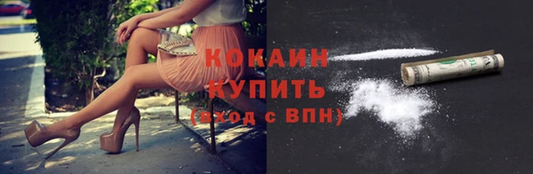 apvp Белокуриха