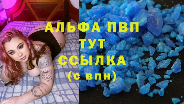 apvp Белокуриха