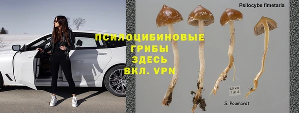 apvp Белокуриха