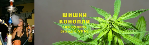 apvp Белокуриха