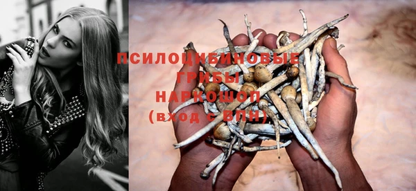 скорость Богородицк