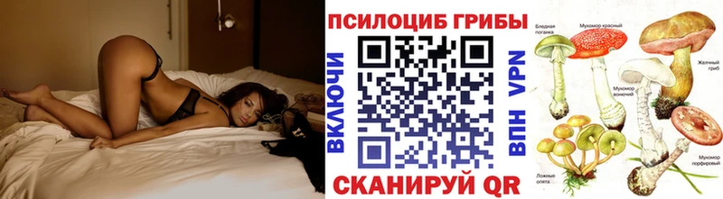 Псилоцибиновые грибы GOLDEN TEACHER купить наркоту Макаров