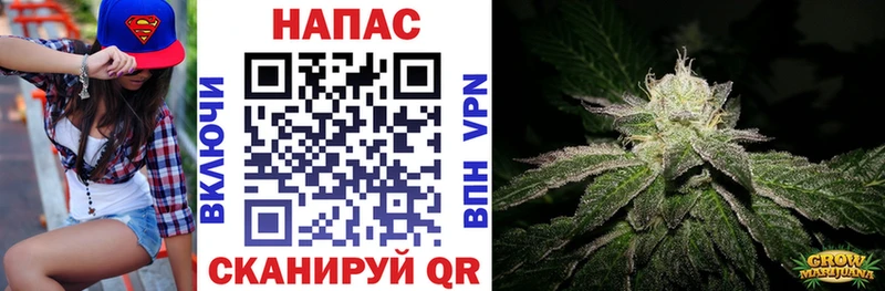 Канабис марихуана Макаров